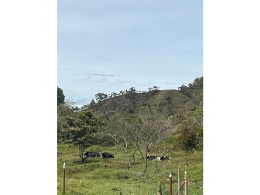 Gutshaus oder Landhaus in Santo Domingo, Departamento de Antioquia