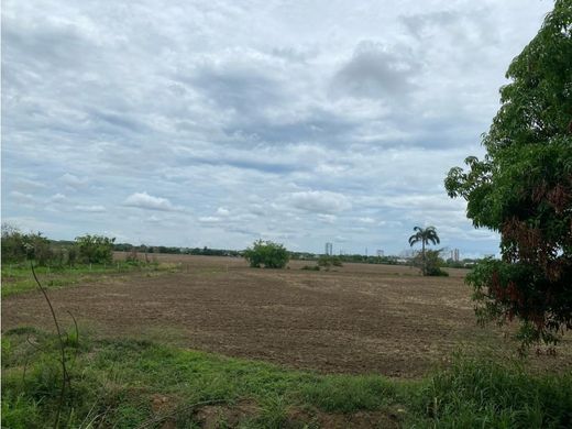 Grundstück in Montería, Departamento de Córdoba