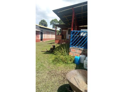 Rustik ya da çiftlik Quimbaya, Quindío Department