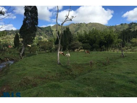 Grundstück in Guarne, Departamento de Antioquia