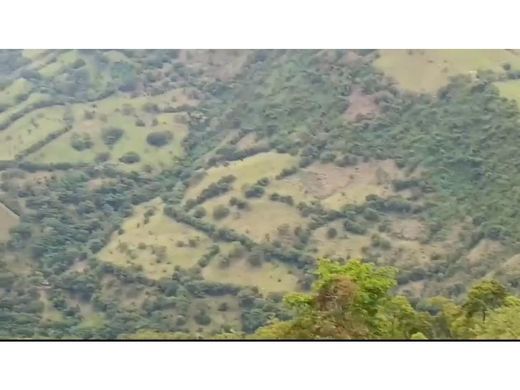 Boerderij in Heliconia, Departamento de Antioquia