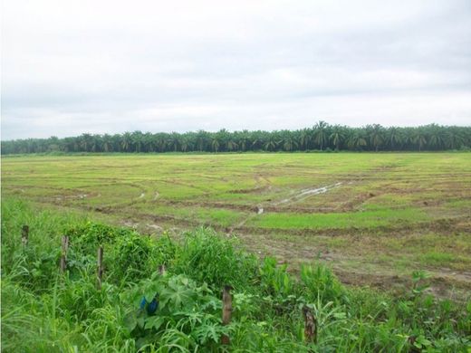 Grundstück in Pivijay, Departamento del Magdalena