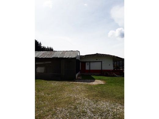 Terrain à Rionegro, Departamento de Antioquia