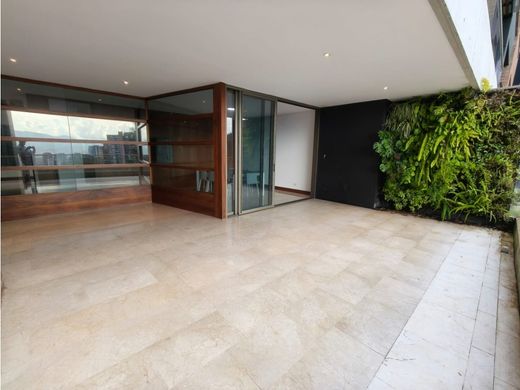 Daire Medellín, Departamento de Antioquia