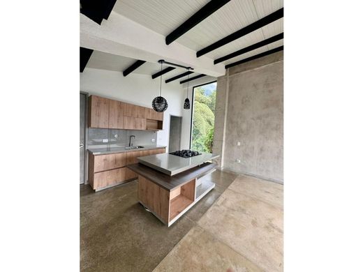 호화 저택 / 메데인, Medellín