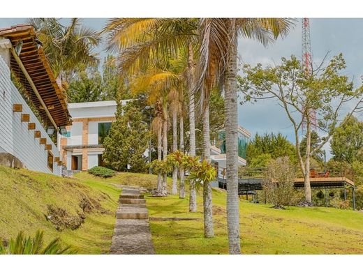 Gospodarstwo w Medellín, Departamento de Antioquia