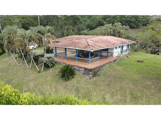 村舍/农舍  Quimbaya, Quindío Department