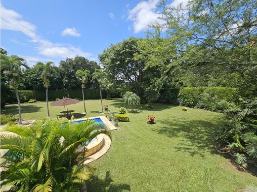 地皮  卡利, Cali