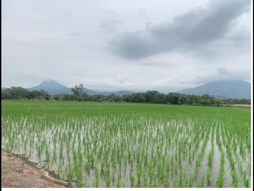 Quinta rústica - Natagaima, Departamento de Tolima
