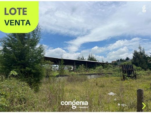 Land in Rionegro, Departamento de Antioquia