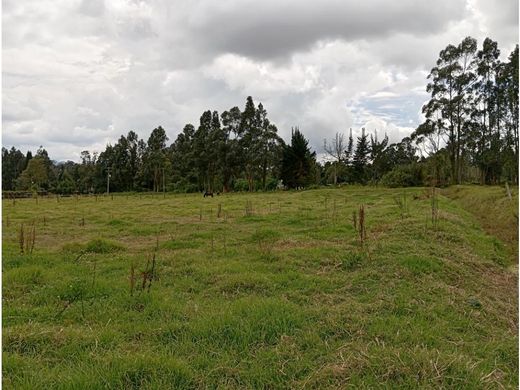 Terrain à Cajicá, Departamento de Cundinamarca