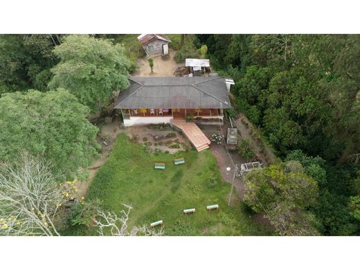 Arsa Circasia, Quindío Department