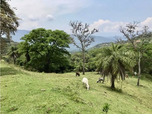 أرض ﻓﻲ San Jerónimo, Departamento de Antioquia