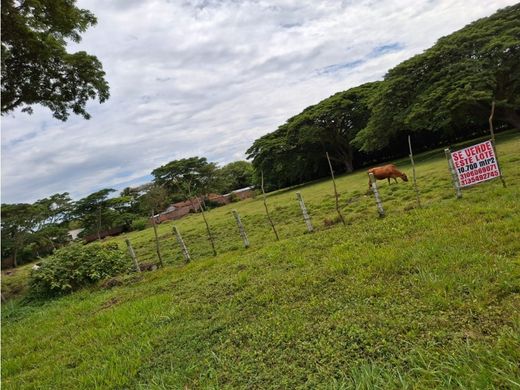Land in Cartago, Departamento del Valle del Cauca