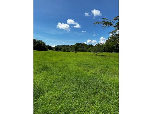 Rustico o casale a La Dorada, Departamento de Caldas