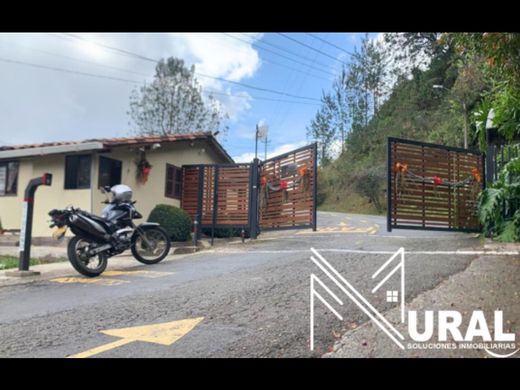 Arsa Retiro, Departamento de Antioquia