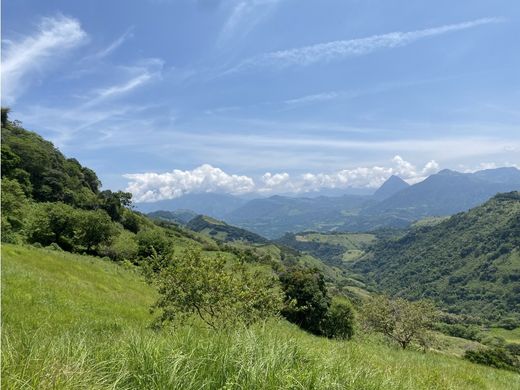 Arsa Tarso, Departamento de Antioquia