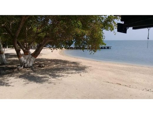 토지 / Cartagena, Cartagena de Indias