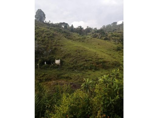 Teren w Marinilla, Departamento de Antioquia