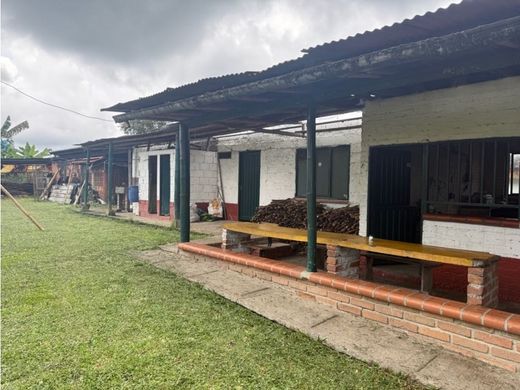 Filandia, Quindío Departmentのカントリー風またはファームハウス