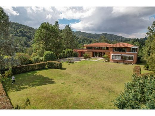 Gospodarstwo w Envigado, Departamento de Antioquia