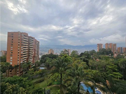 Daire Medellín, Departamento de Antioquia