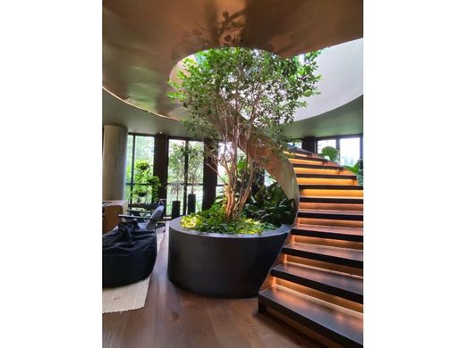 Daire Medellín, Departamento de Antioquia