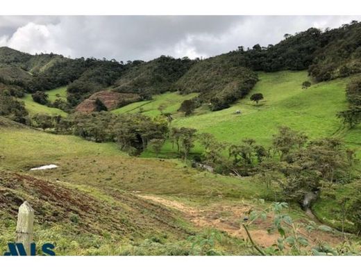 أرض ﻓﻲ La Ceja, Departamento de Antioquia