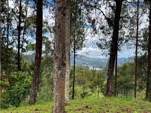Terrain à Retiro, Departamento de Antioquia