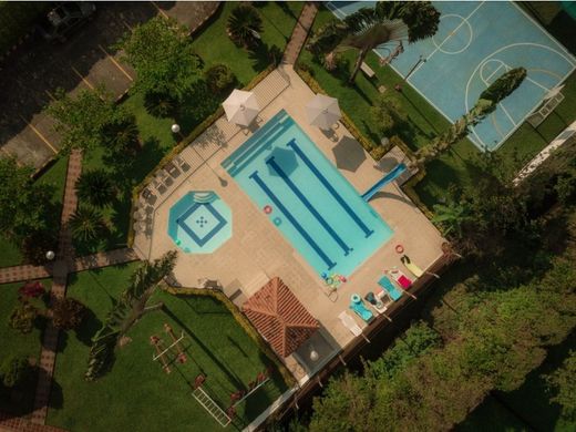 Albergo a Palestina, Departamento de Caldas