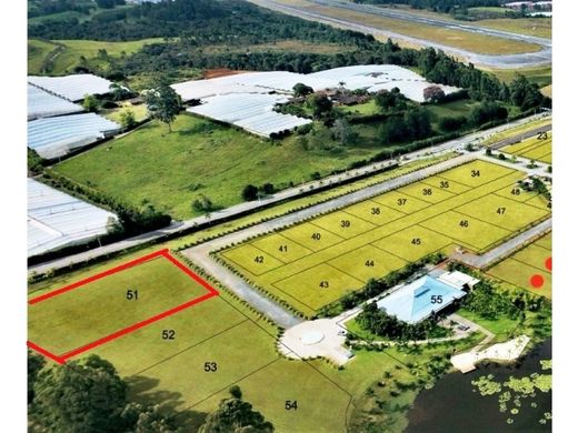 토지 / Rionegro, Departamento de Antioquia