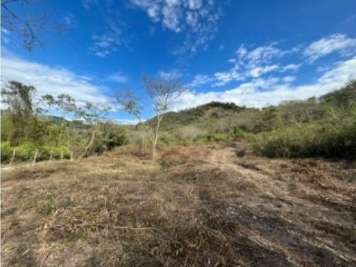 Grundstück in Anapoima, Departamento de Cundinamarca