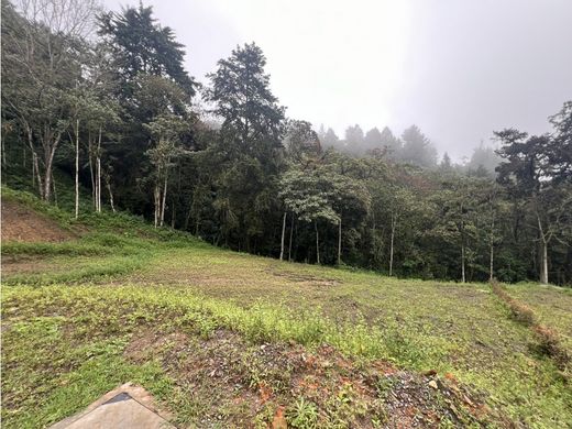 Arsa Envigado, Departamento de Antioquia