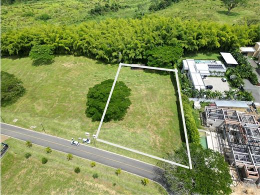 Terrain à Pereira, Departamento de Risaralda