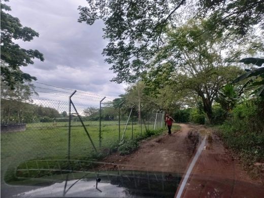 Rustik ya da çiftlik Caicedonia, Departamento del Valle del Cauca