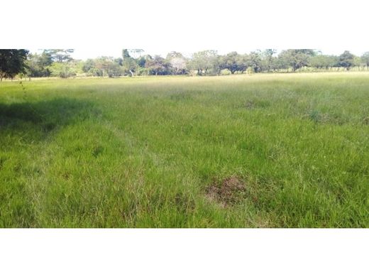 Ferme à Aguachica, Departamento del Cesar