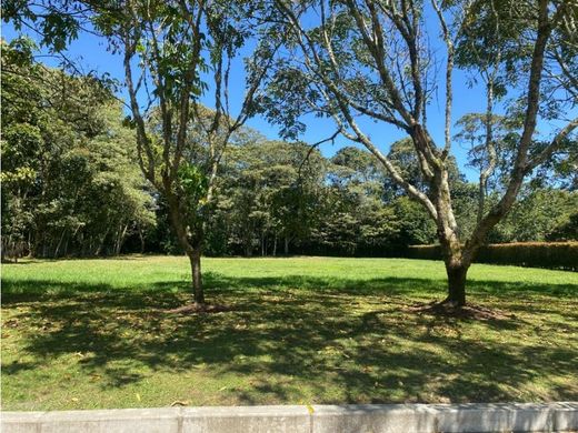 Grond in Rionegro, Departamento de Antioquia