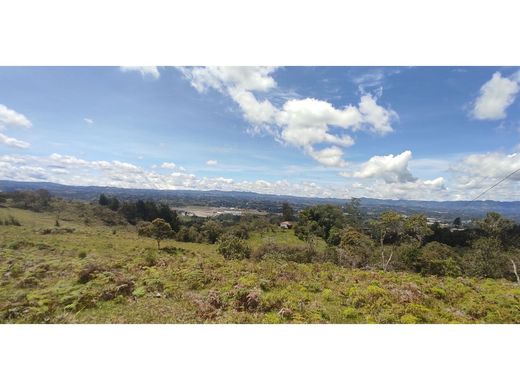 Αγροτεμάχιο σε Rionegro, Departamento de Antioquia