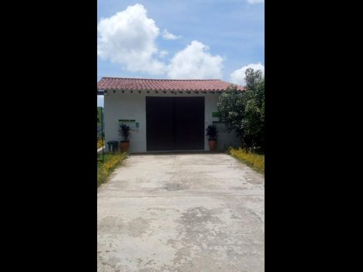 ‏קרקע ב  El Peñol, Yarumal