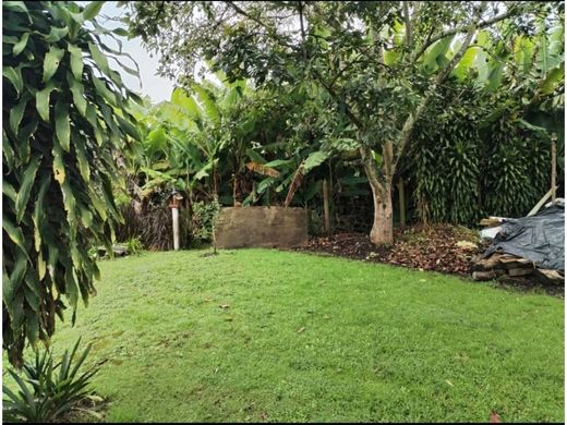 Grundstück in Rionegro, Departamento de Antioquia
