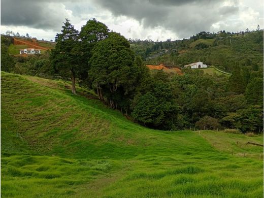 村舍/农舍  Guarne, Departamento de Antioquia