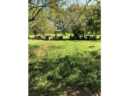 ‏בתים כפריים או חוות ב  Puerto Berrío, Departamento de Antioquia