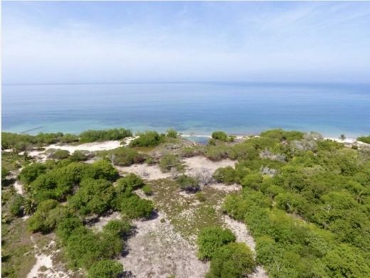 Land in Cartagena, Cartagena de Indias