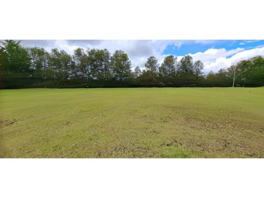 Land in Rionegro, Departamento de Antioquia