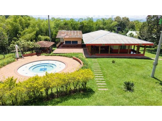 Ferme à Montenegro, Quindío Department