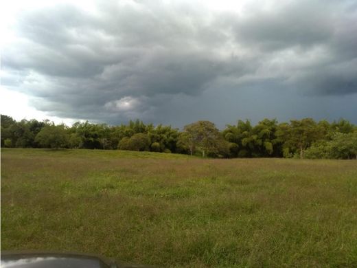 Ρουστίκ ή αγροικία σε Armenia, Quindío Department