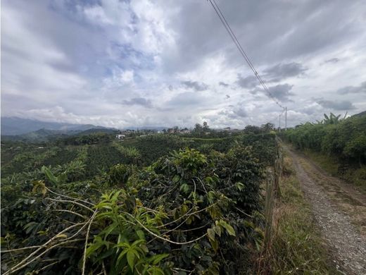 Terreno en Santa Rosa de Cabal, Departamento de Risaralda