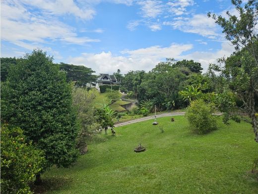 Terrain à Pereira, Departamento de Risaralda