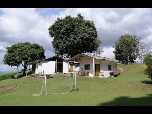 Rustykalny lub Wiejski w Armenia, Quindío Department