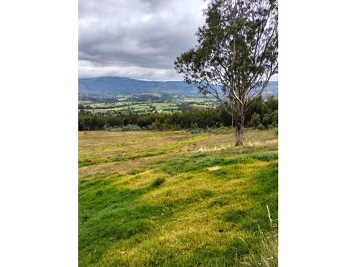 Ferme à Iza, Departamento de Boyacá